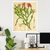 Vintage Christmas Cactus Poster (Heimbüro)