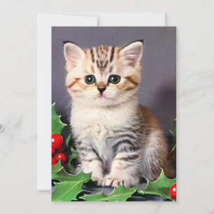 Vintage Christmas Kitten und Holly Ankündigung