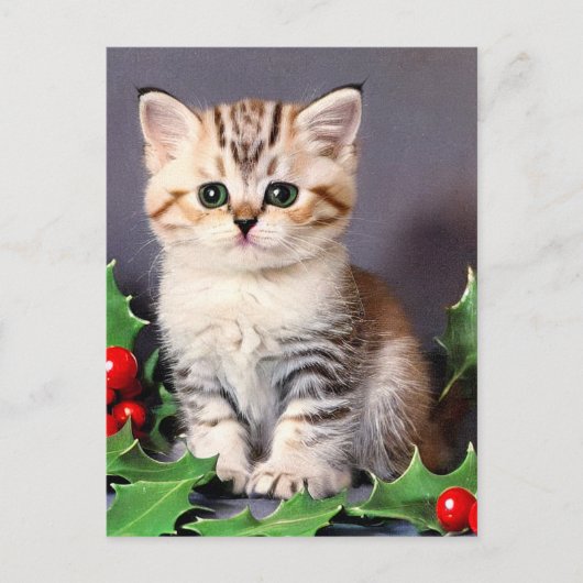 Vintage Christmas Kitten und Holly Feiertagspostkarte (Vorderseite)