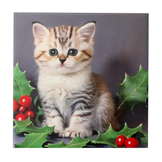 Vintage Christmas Kitten und Holly Fliese (Vorderseite)
