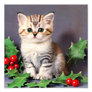 Vintage Christmas Kitten und Holly Fotodruck