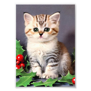 Vintage Christmas Kitten und Holly Fotodruck