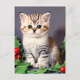 Vintage Christmas Kitten und Holly Postkarte