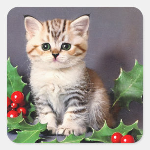 Vintage Christmas Kitten und Holly Quadratischer Aufkleber