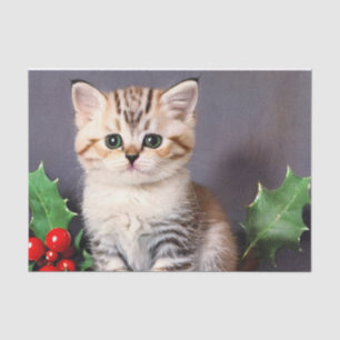 Vintage Christmas Kitten und Holly Seidenpapier