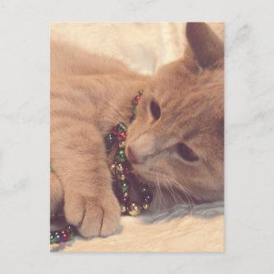 Vintage Christmas Kitty Feiertagspostkarte