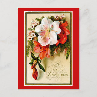 Vintage Christmas Lilly Feiertagspostkarte