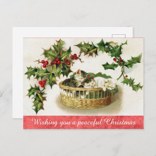 Vintage Christmas Niedlich Kitten Cat Postkarte (Vorne/Hinten)