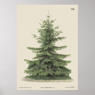 Vintage Christmas Pine Tree Vintag Poster