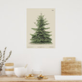 Vintage Christmas Pine Tree Vintag Poster (Küche)