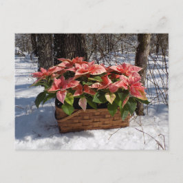 Vintage Christmas Poinsettias Postkarte