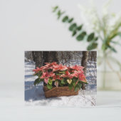 Vintage Christmas Poinsettias Postkarte (Stehend Vorderseite)