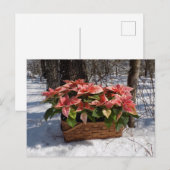 Vintage Christmas Poinsettias Postkarte (Vorne/Hinten)