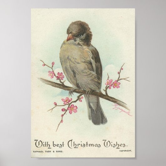 Vintage Christmas Sparrow Poster (Vorne)
