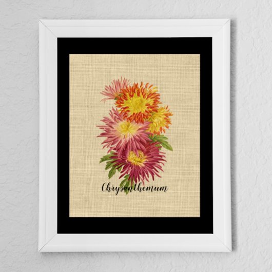Vintage Chrysanthemen-Botanik Poster