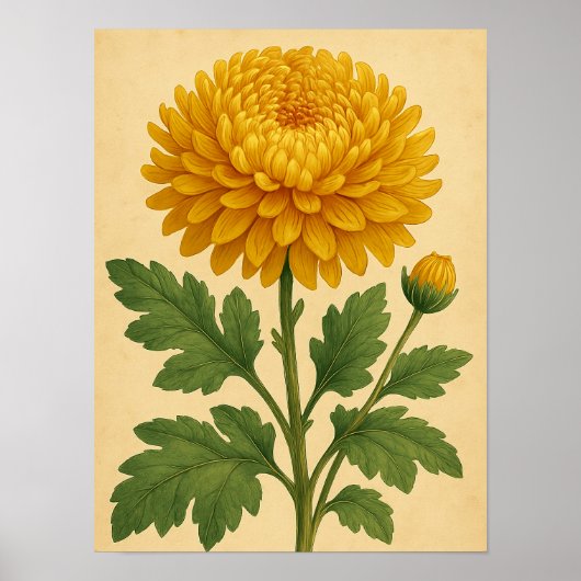 Vintage Chrysanthemum on Weathered Paper Poster (Vorne)