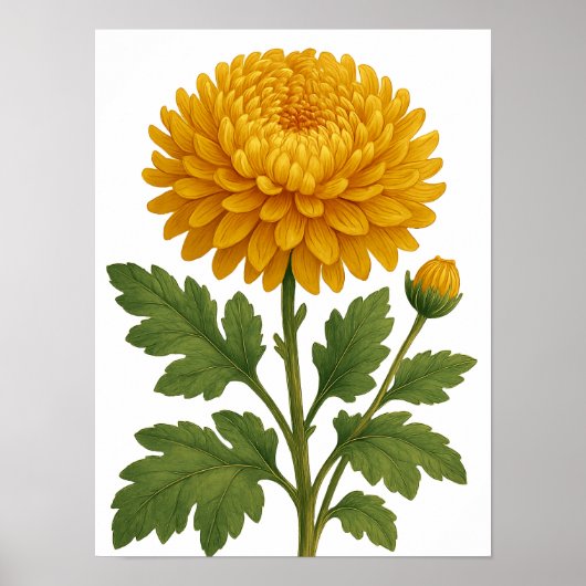 Vintage Chrysanthemum Poster (Vorne)