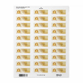 Vintage Cinderella Carriage Address Labels (Vorne)