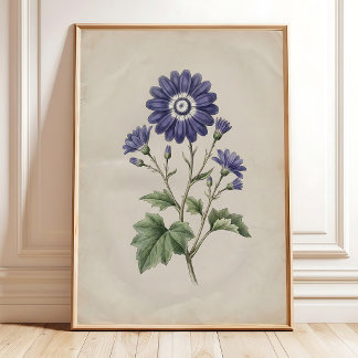 Vintage Cineraria-Druck Farmhouse-Kunst Poster
