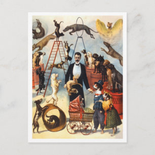 Vintage Circus Dog Schlitten Postkarte