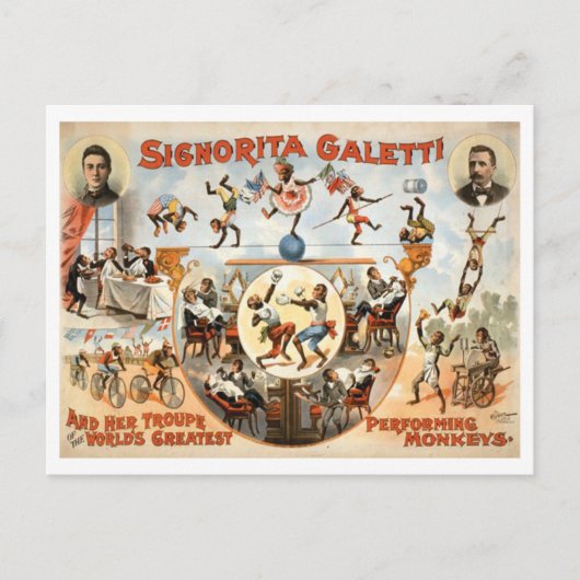 Vintage Circus Galetti und Darstellende Affen Postkarte (Vorderseite)