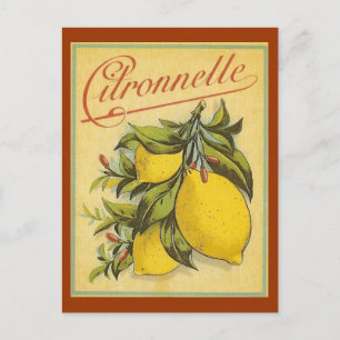 Vintage Citronnelle-Werbung Postkarte