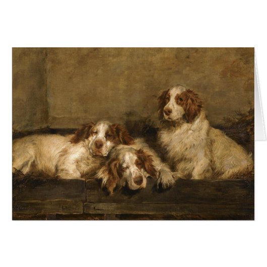 Vintage - Clumber Spaniel Hunde, (Vorderseite (Horizontal))