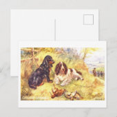 Vintage Cocker Spaniels Postkarte (Vorne/Hinten)