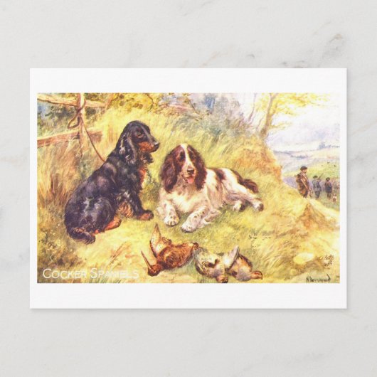 Vintage Cocker Spaniels Postkarte (Vorderseite)
