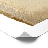 Vintage Coconut Palm Tree Illustration Poster (Ecke)