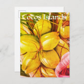 Vintage Cocos-Insel-Kokosnussreise Ankündigungspostkarte (Vorne/Hinten)