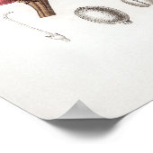 Vintage Coffea arabica Illustration Poster (Ecke)