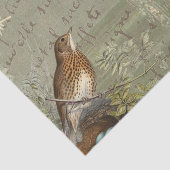 Vintage Collage Lady Bird Sea - Französisches Dreh Seidenpapier (Ausschnitt)