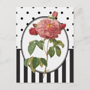 Vintage Collage Pink Rose Botanische Schrift Postkarte