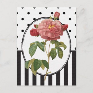 Vintage Collage Pink Rose Botanische Schrift Postkarte