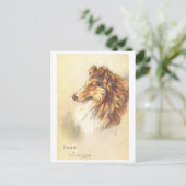 Vintage Collie Postkarte (Stehend Vorderseite)