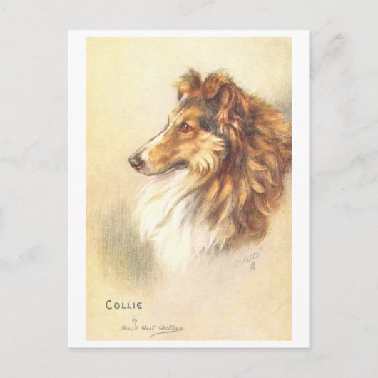 Vintage Collie Postkarte (Vorderseite)