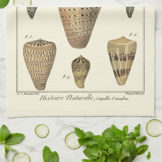 Vintage Cone-Muscheln Geschirrtuch (Gefaltet)