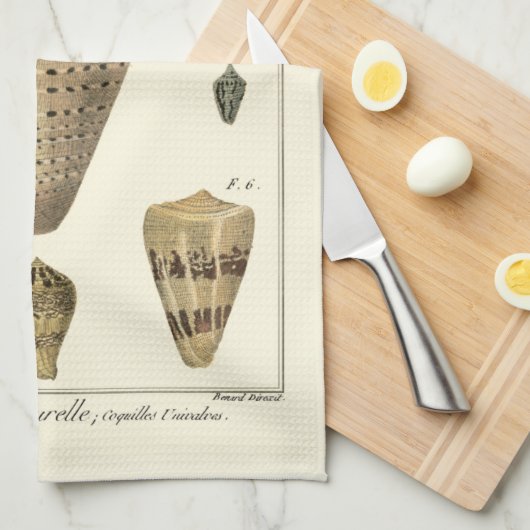 Vintage Cone-Muscheln Geschirrtuch (Viertel Falte)