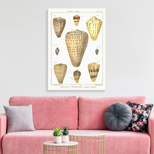 Vintage Cone-Muscheln Leinwanddruck (Insitu (Wohnzimmer))