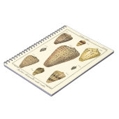 Vintage Cone-Muscheln Notizblock (Linke Seite)