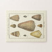 Vintage Cone-Muscheln Puzzle (Horizontal)