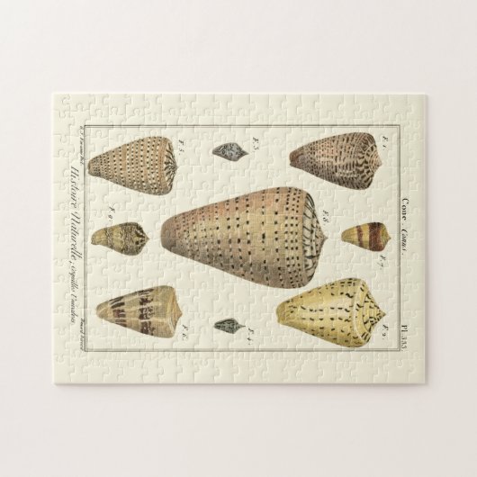 Vintage Cone-Muscheln Puzzle (Horizontal)