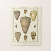 Vintage Cone-Muscheln Puzzle (Vertikal)
