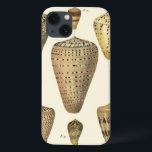 Vintage Cone Shells Case-Mate iPhone Hülle<br><div class="desc">Artist Denis Diderot is talented and known for his great sea life images. In this vivid image, he fängt these crackled cone Conch seashells in their most natural style. Conches are are ockled like these four seashells and in a sepia looking tone. Get your seashell product today and you can...</div>
