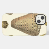 Vintage Cone Shells iPhone Hülle (Rückseite (Horizontal))