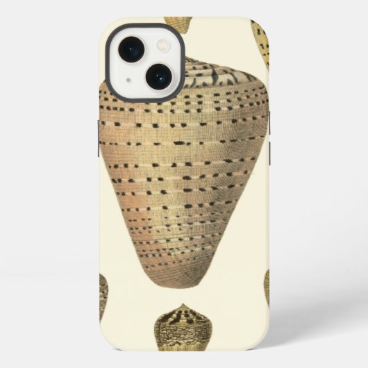 Vintage Cone Shells iPhone Hülle (Rückseite)