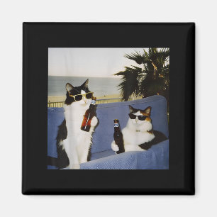 Vintage Coole Sonnenbrille Katze Trinkt Bier Katze Magnet