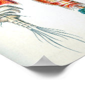 Vintage Copepoda Ocean Animes von Ernst Haeckel Poster (Ecke)