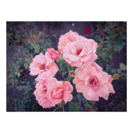 Vintage coral rose bouquet poster